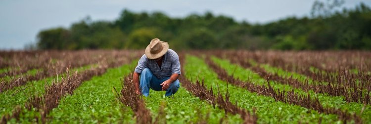 Trabalho sobre a Reforma Agrária III