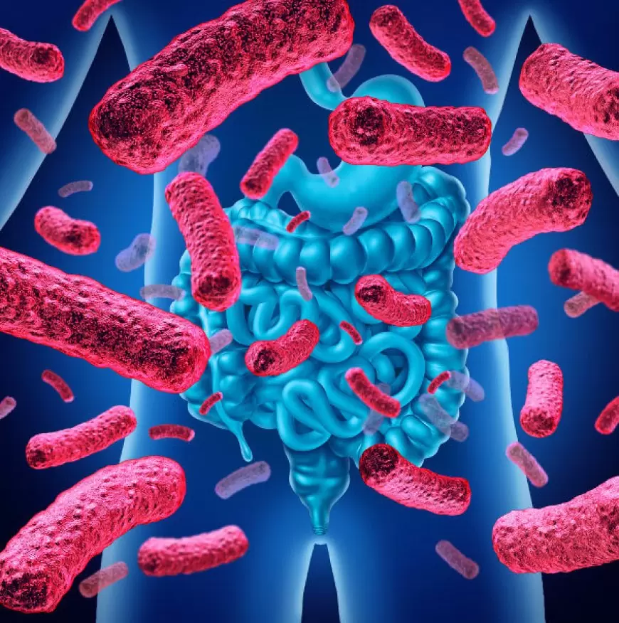 Trabalho sobre as Bacterioses